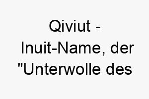 qiviut inuit name der unterwolle des moschusochsen bedeutet 8165