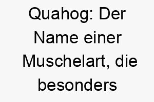 quahog der name einer muschelart die besonders in der region neuengland in den usa bekannt ist dies koennte eine passende wahl fuer einen hund sein der gerne am strand spielt 25201