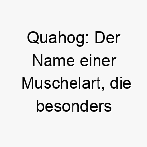 quahog der name einer muschelart die besonders in der region neuengland in den usa bekannt ist dies koennte eine passende wahl fuer einen hund sein der gerne am strand spielt 25201