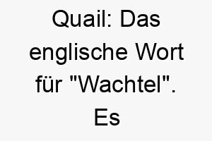 quail das englische wort fuer wachtel es koennte eine suesse wahl fuer einen kleinen oder zierlichen hund sein 25204