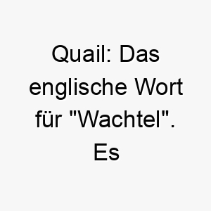 quail das englische wort fuer wachtel es koennte eine suesse wahl fuer einen kleinen oder zierlichen hund sein 25204