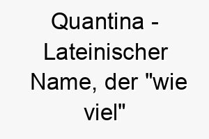 quantina lateinischer name der wie viel bedeutet 8160