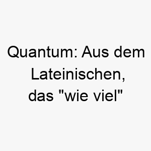 quantum aus dem lateinischen das wie viel bedeutet koennte es passend fuer einen grossen oder sehr praesenten hund sein 25127