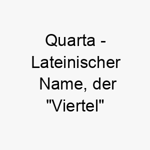 quarta lateinischer name der viertel bedeutet 8161