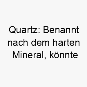 quartz benannt nach dem harten mineral koennte dies eine gute wahl fuer einen robusten widerstandsfaehigen hund sein 25189