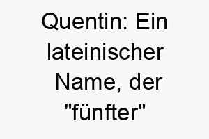 quentin ein lateinischer name der fuenfter bedeutet koennte dies eine gute wahl fuer ihren fuenften hund oder vielleicht einen geborenen im mai dem fuenften monat sein 25152