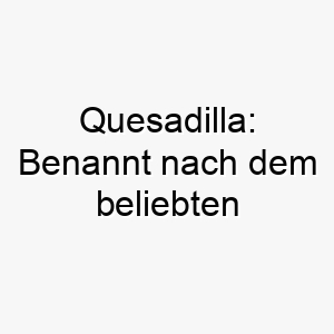 quesadilla benannt nach dem beliebten mexikanischen gericht dies koennte eine lustige wahl fuer einen hund sein der essen liebt 25177