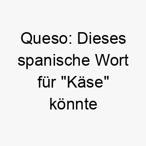 queso dieses spanische wort fuer kaese koennte einen lustigen und einzigartigen namen fuer einen hund darstellen 25141