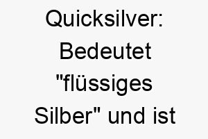 quicksilver bedeutet fluessiges silber und ist ein anderes wort fuer quecksilber koennte es eine gute wahl fuer einen schnellen wendigen hund sein 25122