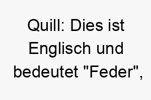 quill dies ist englisch und bedeutet feder was passend fuer einen leichten flinken hund sein koennte 25112