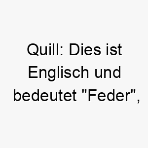 quill dies ist englisch und bedeutet feder was passend fuer einen leichten flinken hund sein koennte 25112