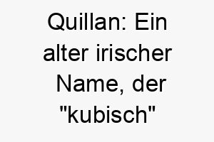 quillan ein alter irischer name der kubisch bedeutet dies koennte eine geeignete wahl fuer einen starken robusten hund sein 25171