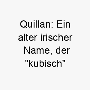 quillan ein alter irischer name der kubisch bedeutet dies koennte eine geeignete wahl fuer einen starken robusten hund sein 25171