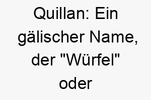 quillan ein gaelischer name der wuerfel oder gluecksspiel bedeutet koennte es eine lustige wahl fuer einen gluecklichen spielfreudigen hund sein 25131