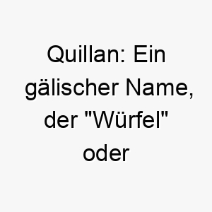 quillan ein gaelischer name der wuerfel oder gluecksspiel bedeutet koennte es eine lustige wahl fuer einen gluecklichen spielfreudigen hund sein 25131