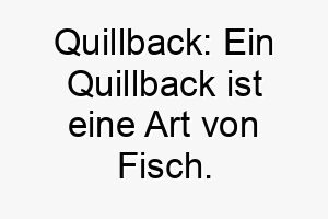 quillback ein quillback ist eine art von fisch dieser name koennte gut fuer einen hund geeignet sein der wasser liebt 25163