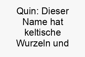 quin dieser name hat keltische wurzeln und bedeutet weise was ihn zu einer guten wahl fuer einen besonders klugen hund machen koennte 25116