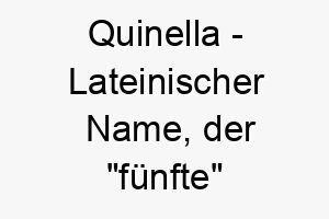 quinella lateinischer name der fuenfte bedeutet 8108