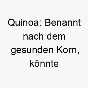 quinoa benannt nach dem gesunden korn koennte dies eine lustige und ungewoehnliche wahl fuer einen hund sein 25123