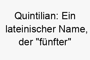 quintilian ein lateinischer name der fuenfter bedeutet dies koennte eine passende wahl fuer den fuenften hund in ihrer familie sein 25173