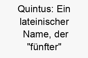 quintus ein lateinischer name der fuenfter bedeutet koennte es eine geeignete wahl fuer den fuenften hund in ihrer familie sein 25126