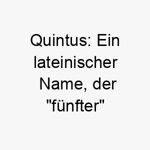 quintus ein lateinischer name der fuenfter bedeutet koennte es eine geeignete wahl fuer den fuenften hund in ihrer familie sein 25126