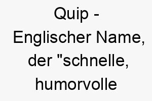 quip englischer name der schnelle humorvolle bemerkung bedeutet 8111