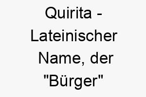 quirita lateinischer name der buerger bedeutet 8157 1