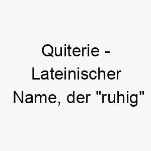 quiterie lateinischer name der ruhig bedeutet 8136