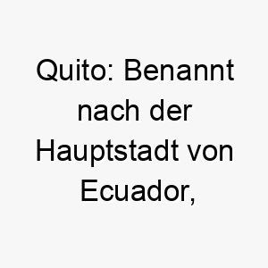 quito benannt nach der hauptstadt von ecuador koennte dies eine exotische wahl fuer einen hund sein 25181