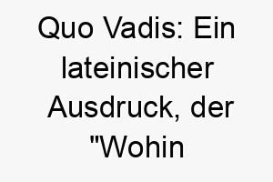 quo vadis ein lateinischer ausdruck der wohin gehst du bedeutet koennte dies eine passende wahl fuer einen abenteuerlustigen hund sein 25192