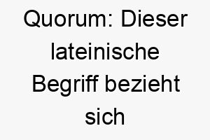 quorum dieser lateinische begriff bezieht sich auf eine mindestanzahl von personen die erforderlich sind damit eine versammlung stattfinden kann es koennte eine lustige wahl fuer einen hund sein 25160