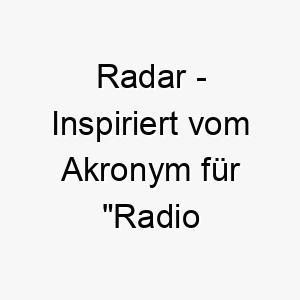 radar inspiriert vom akronym fuer radio detection and ranging was auf einen hund hinweisen koennte der immer auf dem laufenden ist 25404