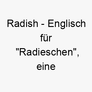 radish englisch fuer radieschen eine niedliche option fuer einen kleinen hund oder einen hund mit einer lebhaften frechen persoenlichkeit 25484