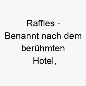 raffles benannt nach dem beruehmten hotel passend fuer einen eleganten oder anspruchsvollen hund 25500