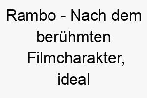 rambo nach dem beruehmten filmcharakter ideal fuer einen mutigen und starken hund 25406