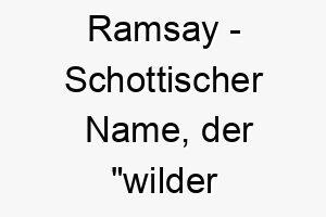 ramsay schottischer name der wilder knoblauch bedeutet koennte passen fuer einen wilden energiegeladenen hund 25729