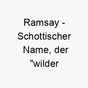 ramsay schottischer name der wilder knoblauch bedeutet koennte passen fuer einen wilden energiegeladenen hund 25729