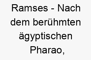 ramses nach dem beruehmten aegyptischen pharao passend fuer einen majestaetischen oder wuerdevollen hund 25439