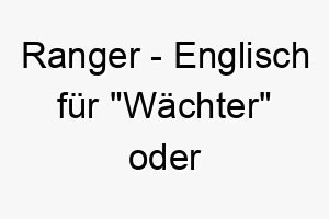 ranger englisch fuer waechter oder parkwaechter ideal fuer einen aktiven oder schuetzenden hund 25700