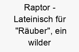 raptor lateinisch fuer raeuber ein wilder name fuer einen mutigen und furchtlosen hund 25476