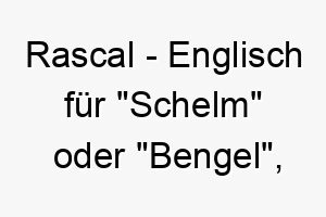 rascal englisch fuer schelm oder bengel fuer einen frechen und spielerischen hund 25408