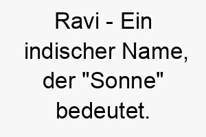 ravi ein indischer name der sonne bedeutet perfekt fuer einen sonnigen froehlichen hund 25739