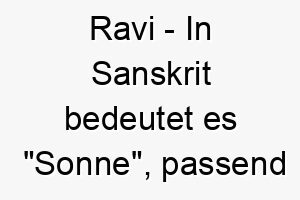 ravi in sanskrit bedeutet es sonne passend fuer einen lebhaften und froehlichen hund 25486