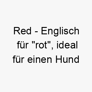 red englisch fuer rot ideal fuer einen hund mit rotem fell 25478