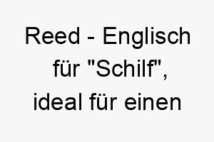 reed englisch fuer schilf ideal fuer einen hund der die natur liebt 25443