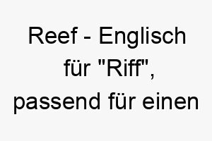 reef englisch fuer riff passend fuer einen hund der das wasser oder den strand liebt 25707