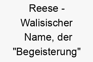 reese walisischer name der begeisterung bedeutet 8504