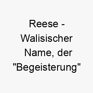 reese walisischer name der begeisterung bedeutet 8504