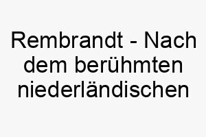 rembrandt nach dem beruehmten niederlaendischen maler ideal fuer einen kuenstlerischen besitzer oder einen hund mit einem auffaelligen fellmuster 25422